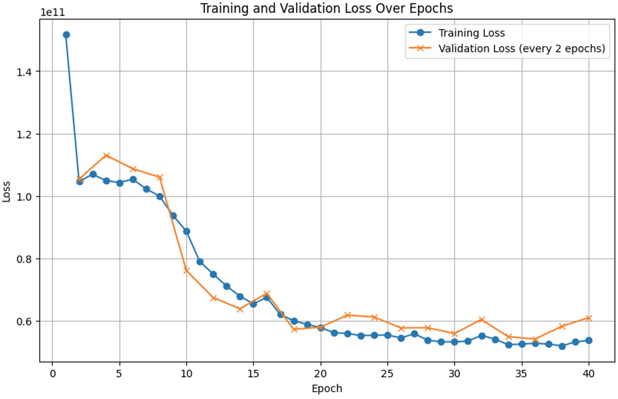 Training and Validation Loss Curves
