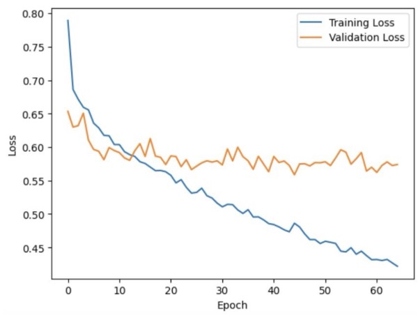 Training and Validation Loss Curves